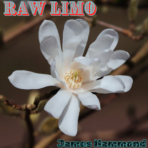 Raw Limo