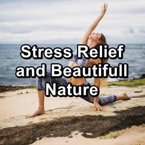 Yoga Focus in The Netherlands