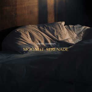 Moonlit Serenade