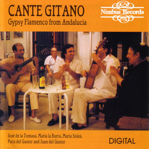 Cante Gitano - Gypsy Flamenco Recorded Live In Andalucia