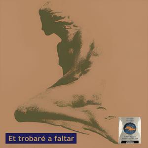 Et trobaré a faltar