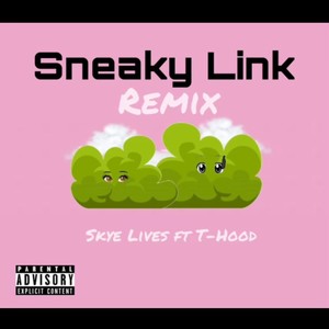 Sneaky Link (feat. T-Hood) [Explicit]