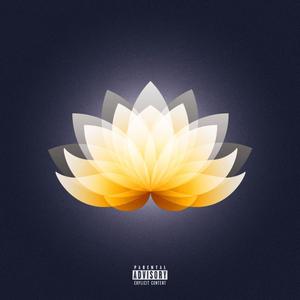 Picture Perfect(feat. Carlo Redl) (Explicit)