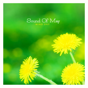 5월의 소리 (Sound of May)