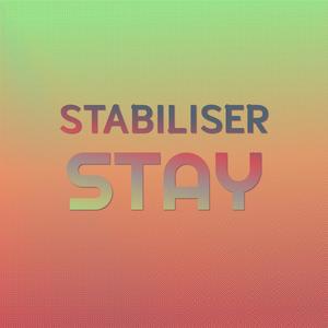 Stabiliser Stay