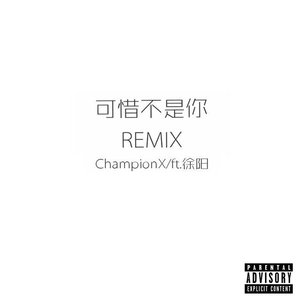 可惜不是你 (Remix)