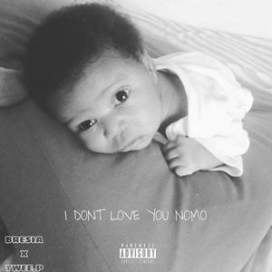 I Don't Love You Nomo(feat. Twee P DA BLESD SIND) (Explicit)