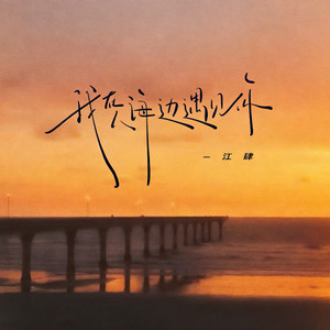 我在人海遇见你 (释然版)