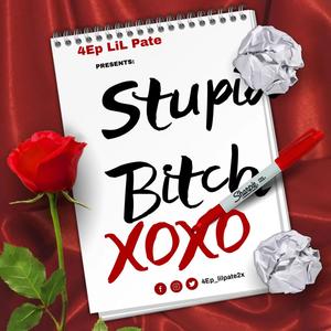 Stupid ***** (Explicit)