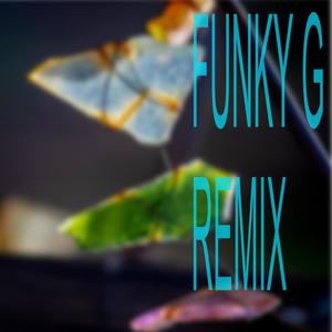 Funky G (Remix Version)