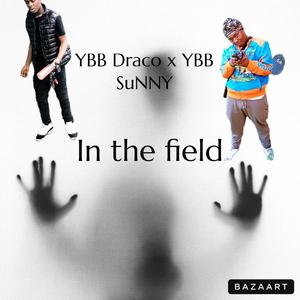 IN THE FIELD (feat. YBB Sunny) (Explicit)