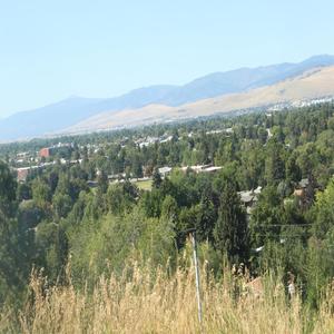 Zoo Breezes(feat. Apex God, Cisumaka, ellisd & Tommy Lennon) (Explicit)