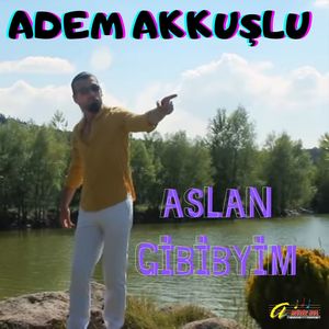 Aslan Gibiyim