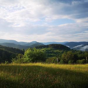 Just a chill(Chill out)