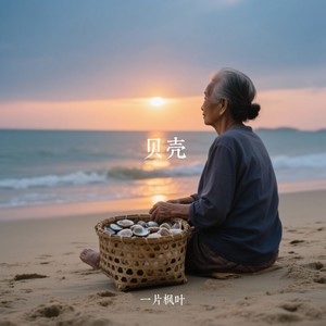 贝壳封面