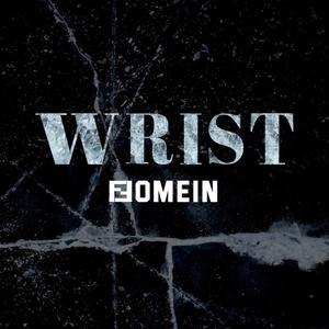 Wrist (feat. idontknow) [Explicit]