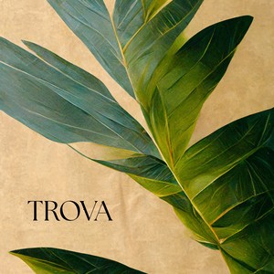 Trova