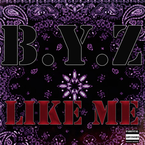 Like Me (Explicit)