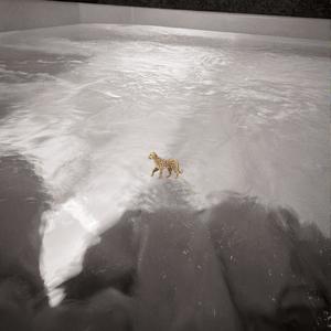 Dentro de un sueño (feat. Curlers)