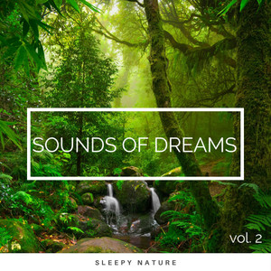 Forest Tunes for REM Dreams pt. 6(feat. Aquagirl, Lluvia para Dormir & Nature  Rainforest Sounds Collective)