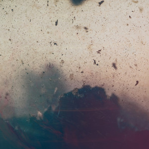 A Soul Grown 12 Sizes