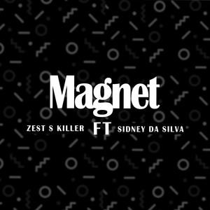 Magnet