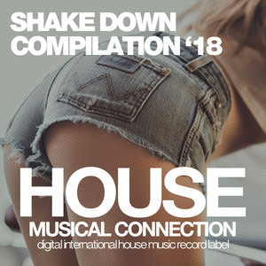 Tribal Funk (Original Mix)
