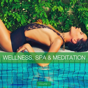 Wellness, Spa & Meditation, Vol. 1