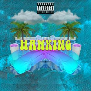 Hawking (feat. Gla$ier, Spitta Rico & Le6it) (Explicit)