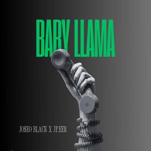 BABY LLAMA (feat. Jp.eer)