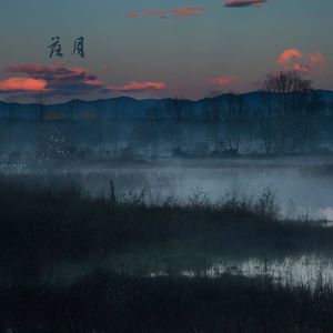 店铺背景音乐 - 念你 (大提琴)