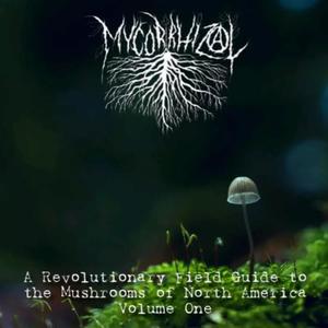 High Heel Smashed Face