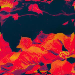 UpAndDown (Explicit)