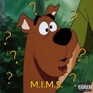 M.I.M.S.(Make It Make Sense) (Explicit)