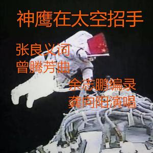 神鹰在太空招手