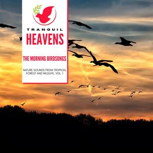 The Morning Birdsongs - Nature Sounds from Tropical Forest and Wildlife, Vol. 1