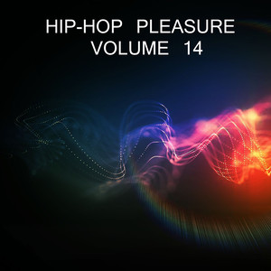 Hip Hop Pleasure, Vol. 14