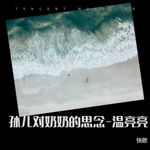 孙儿对奶奶的思念-温亮亮