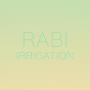 Rabi Irrigation