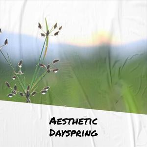 Aesthetic Dayspring