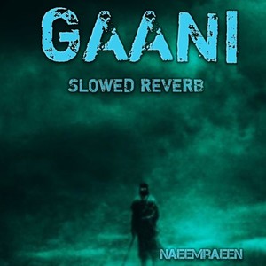 DIOR (Slowed|Reverb)