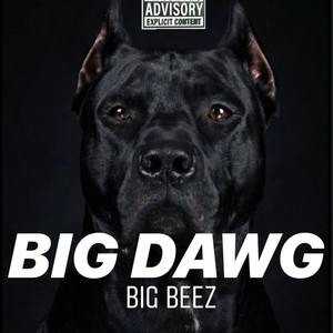 Big Dawg