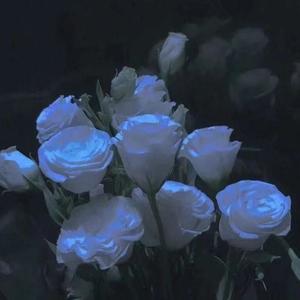 FALL IN LOVE 1.0 (Prod By Gr33nart Beats)