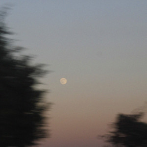 yesterday's moon