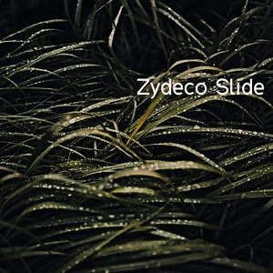 Zydeco Slide