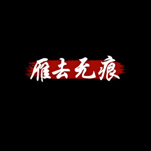 雁去无痕封面