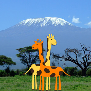 Lofi Coffee - Kilimanjaro Ninjas