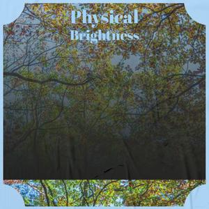 Physical Brightness