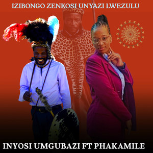 Izibongo Zenkosi Unyazi Lwezulu