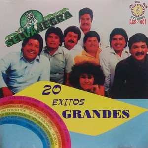 20 Exitos Grandes